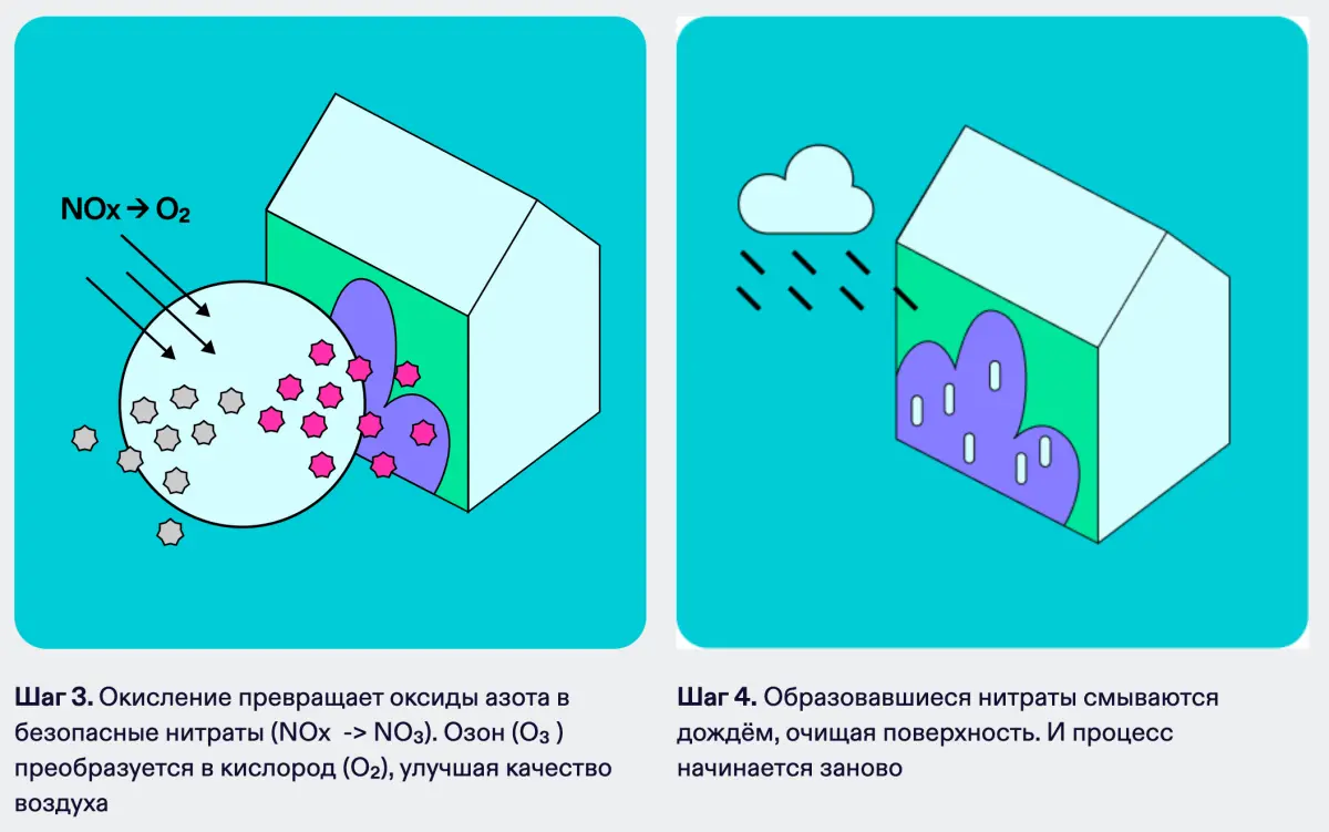 Мурал очищает воздух как лес площадью 250 м²
